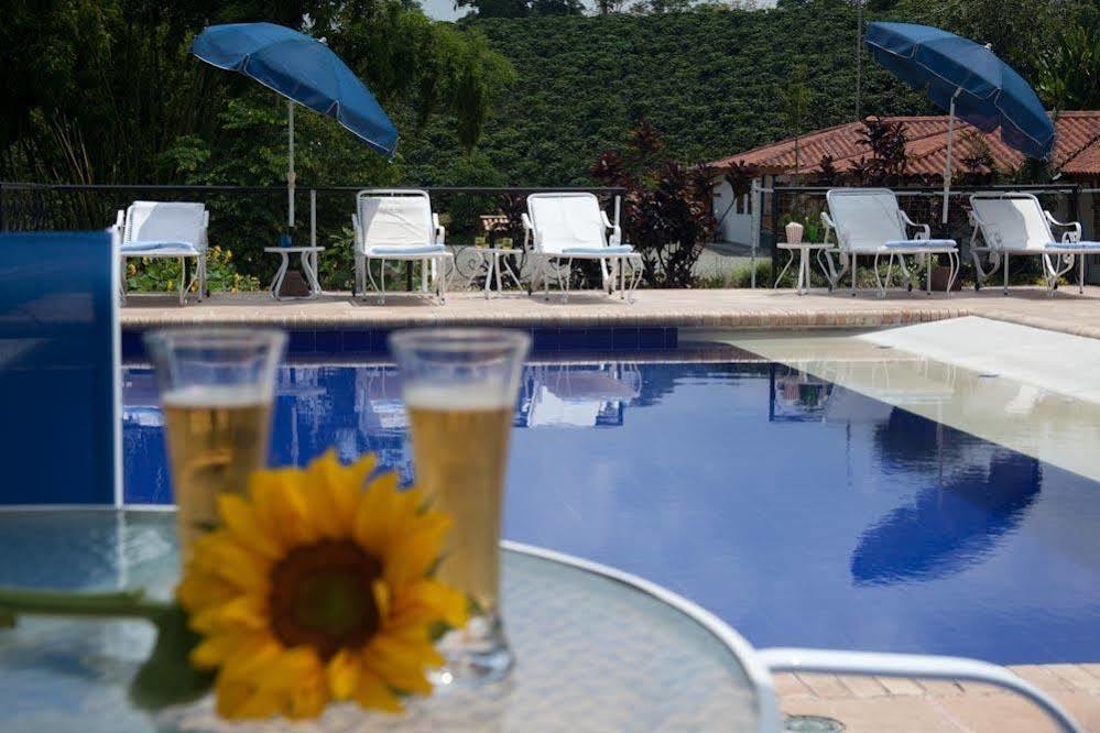 Girasoles 3*